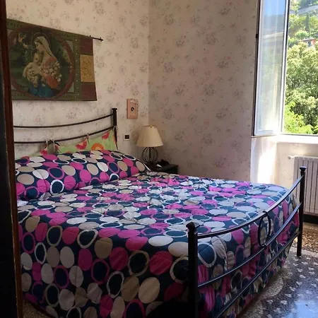 Rose Holiday House