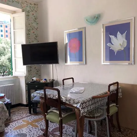 Rose Holiday House